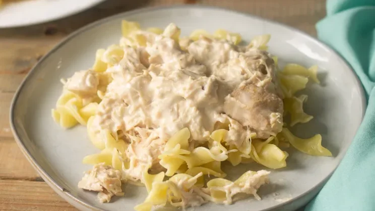Slow Cooker Chicken Stroganoff Recipe — Quick and Easy Homemade Snack